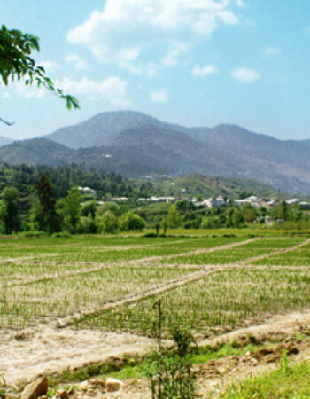 Countryside Farms Islamabad