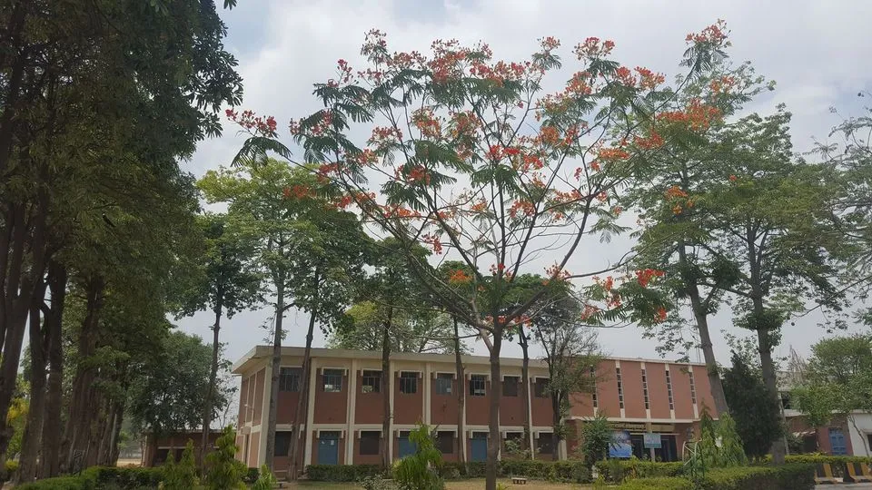 Nestled in the heart of Jhelum city, this esteemed institution has been serving as a cornerstone of education for countless students. The Top Colleges in Jhelum