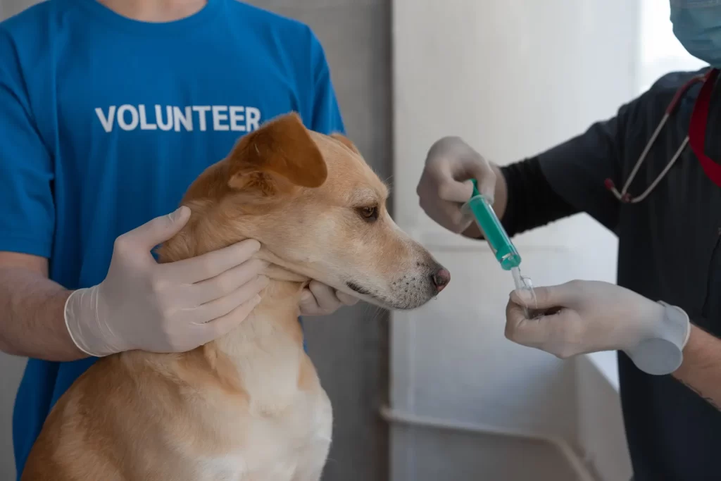In addition to traditional treatments, Lifeline Pets Hospital Islamabad provides holistic and alternative medicine options for those seeking a more holistic approach to pet care.