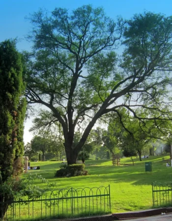 Japanese Children Park – Islamabad