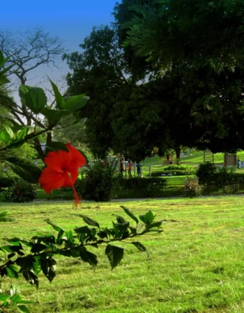 Japanese Children Park – Islamabad