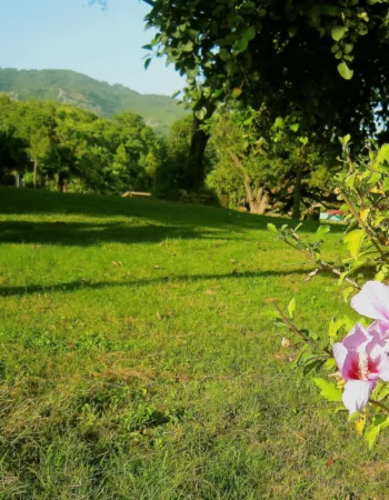 Japanese Children Park – Islamabad