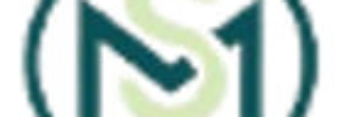 Fellow Chartered Accountant-M Safdar