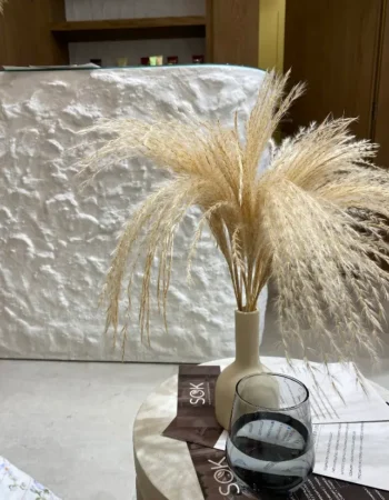 Sok Beauty – Dubai’s Stylish Salon & Social Space